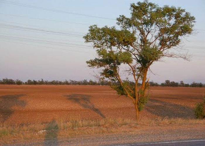 Александровка (Симфер.)