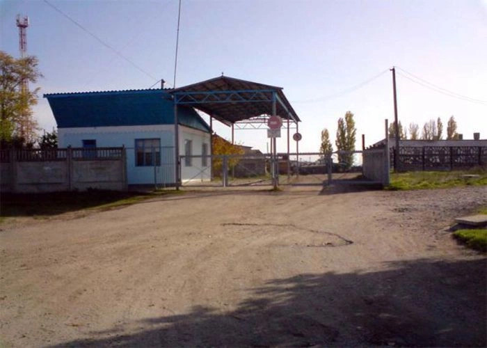Чайкино (Чюйке)
