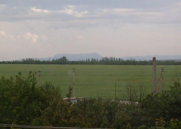 Чайкино (Чюйке)