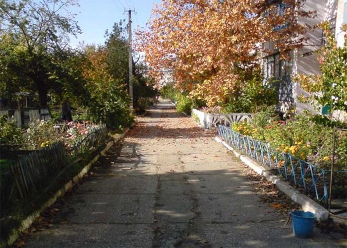 Чайкино (Чюйке)