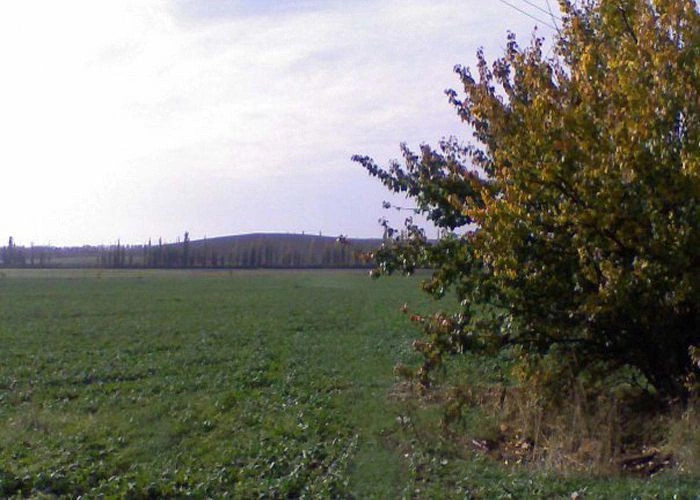 Чайкино (Чюйке)