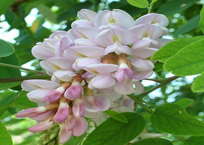 Курганное (Улу-Чокрак)