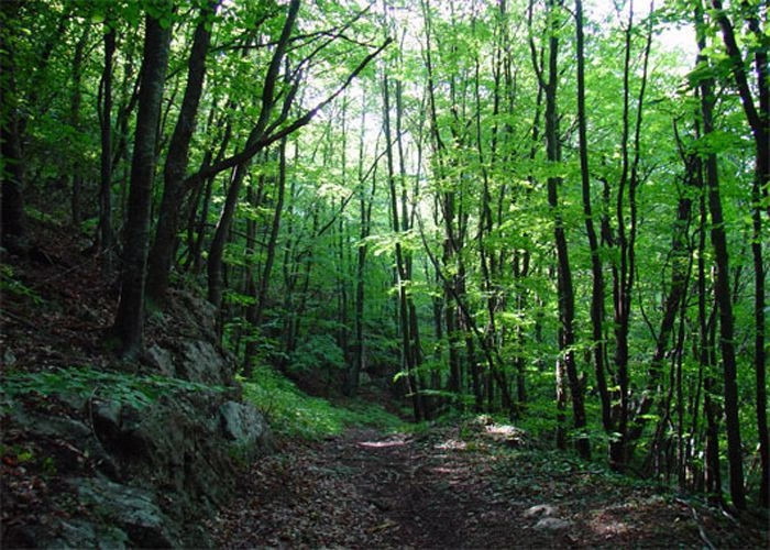 Широкое (Кытай)
