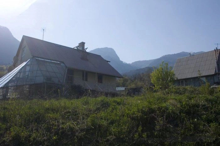 Лаванда
