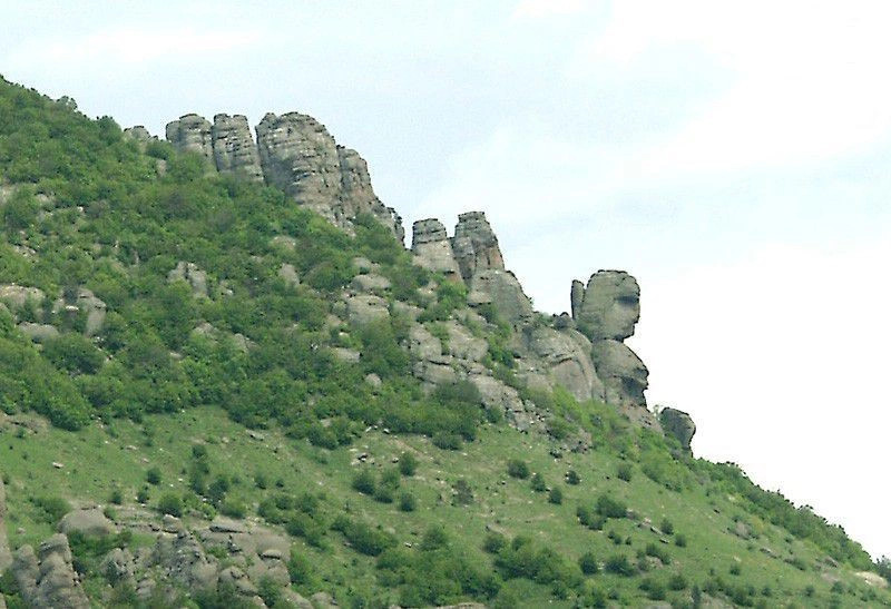 Лаванда