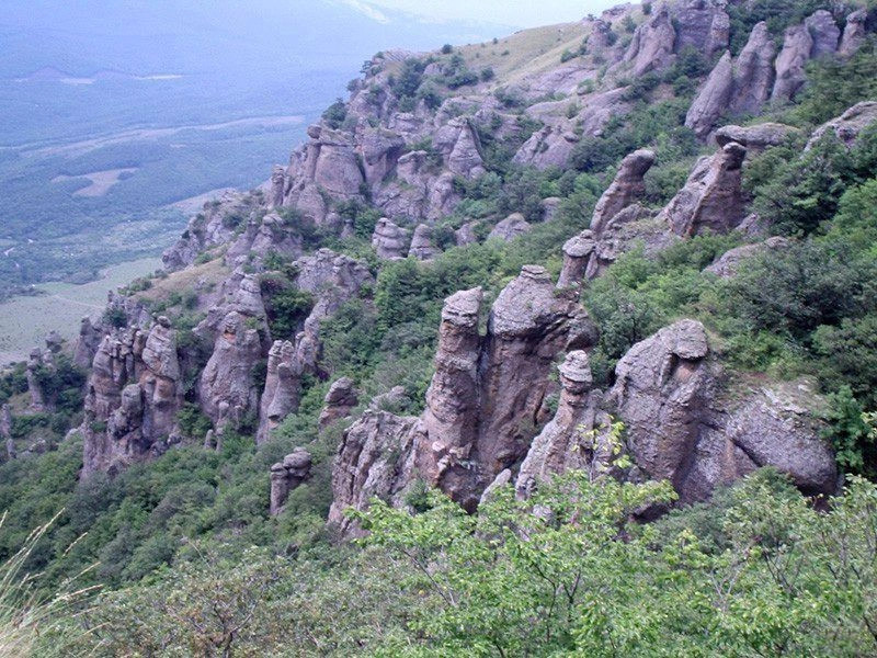 Лаванда