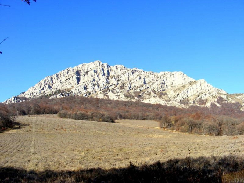 Лаванда