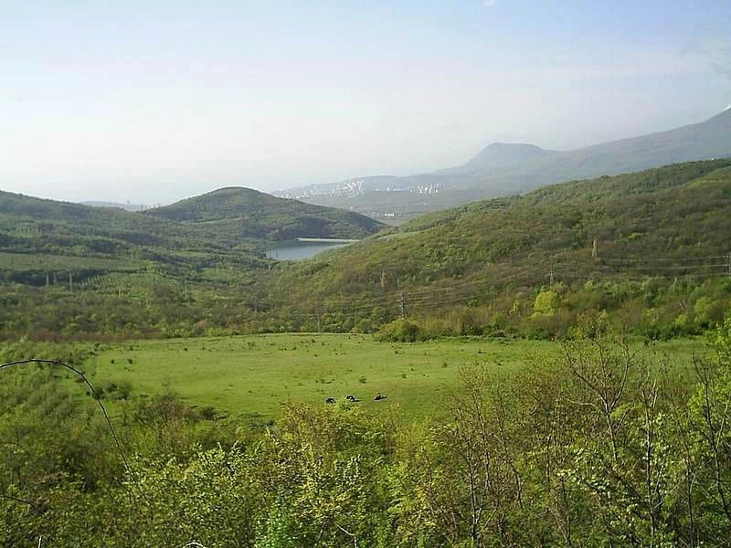 Лаванда