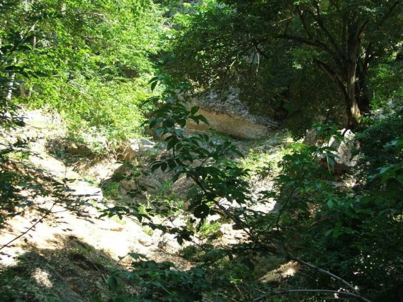 Виноградный (Кастель)