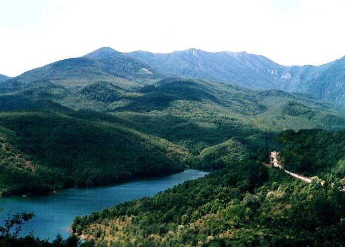 Виноградный (Кастель)