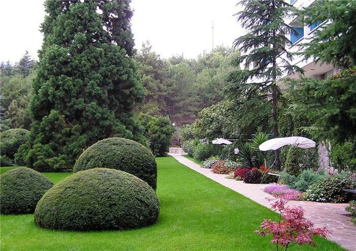 Партенит