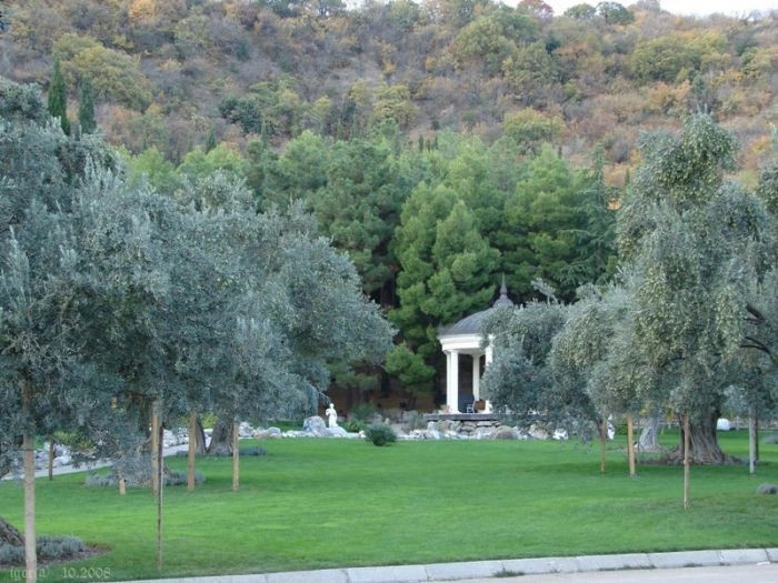Партенит