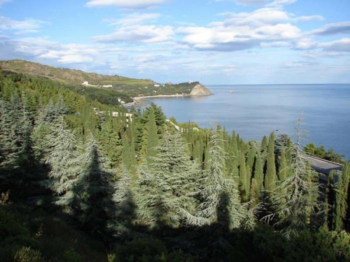 Партенит