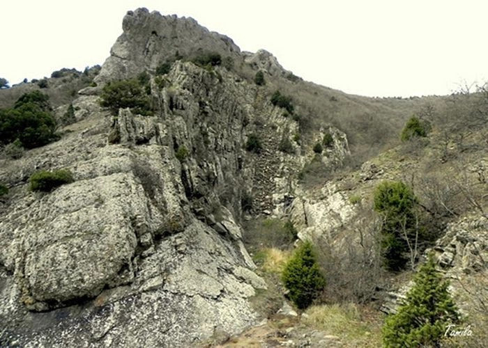 Весёлое (Кутлак)