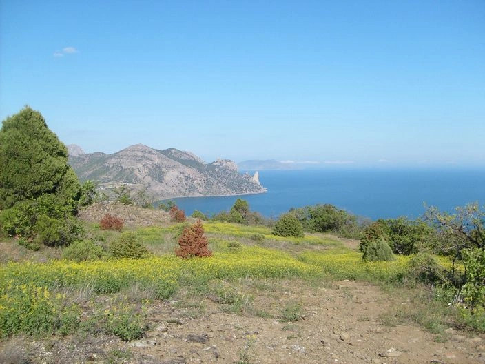 Судакский горсовет