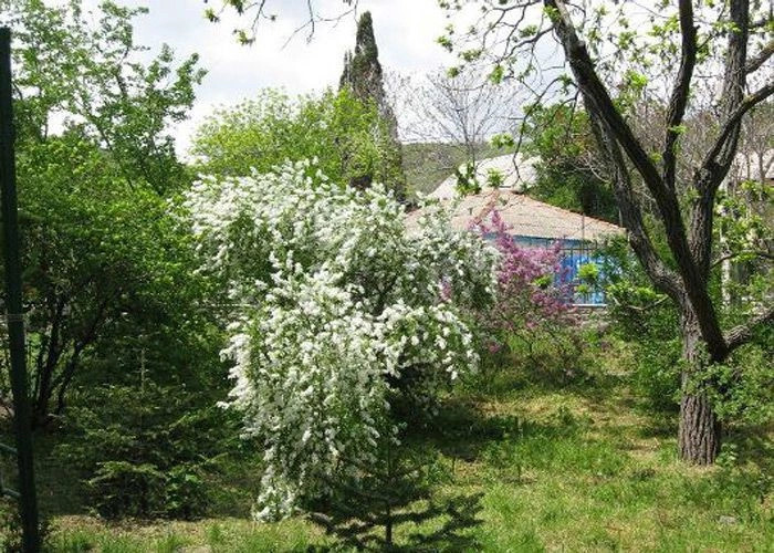 Курортное (Нижний Отуз)