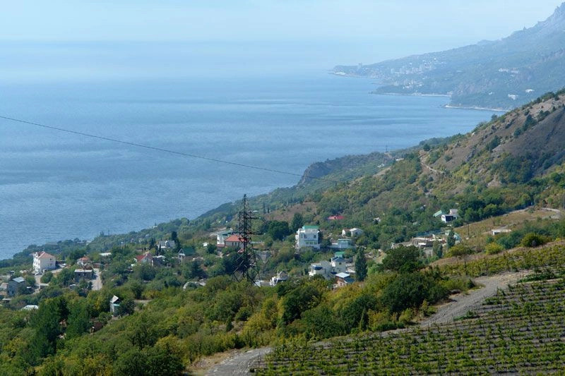 Олива