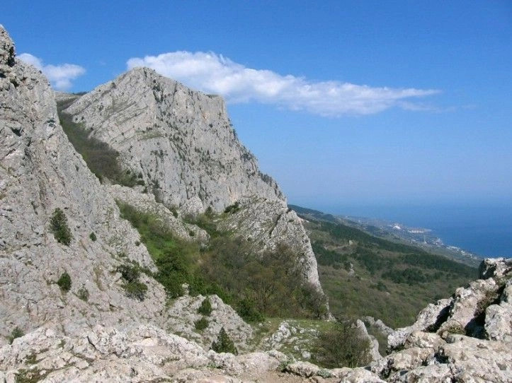 Олива