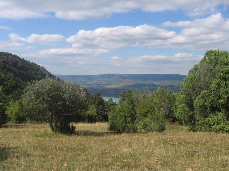 Орлиное (Байдар)