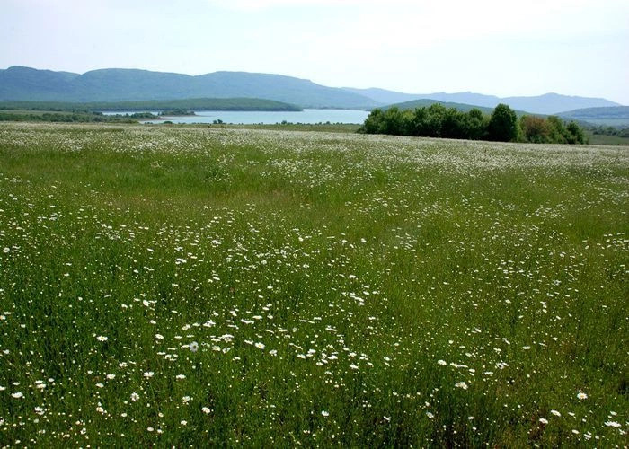 Гончарное (Варнаутка)
