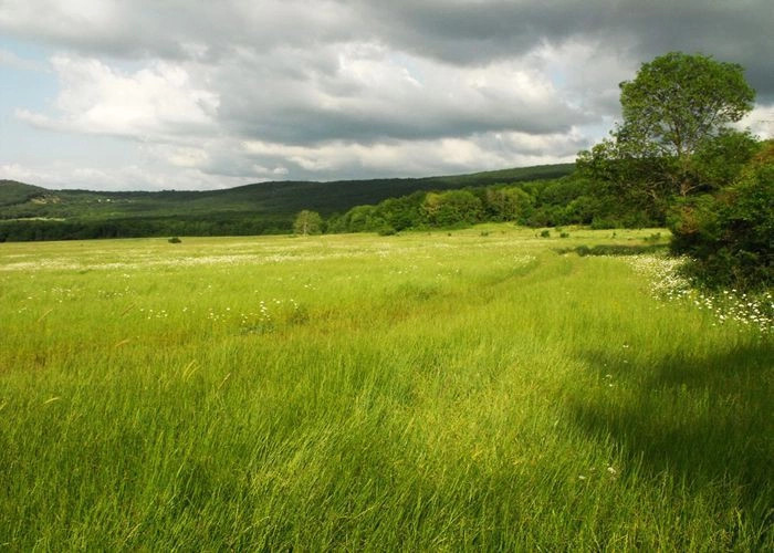 Гончарное (Варнаутка)