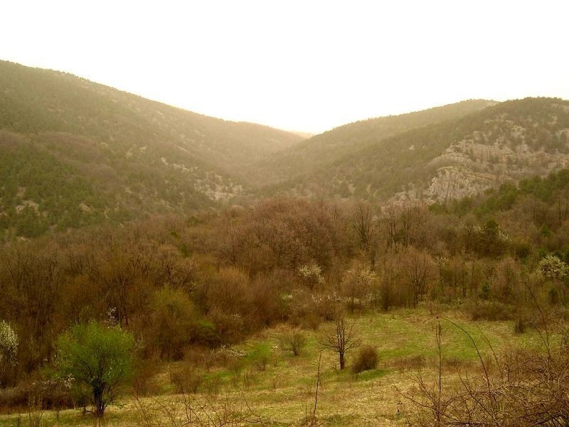 Родниковское (Скеле)