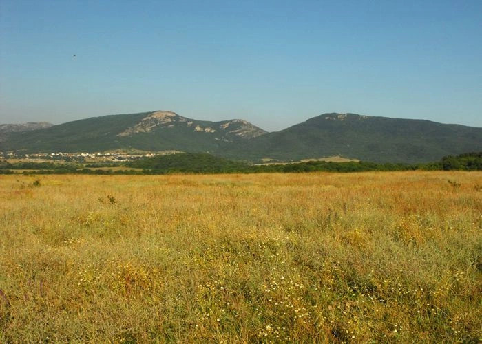 Тыловое (Хайто)