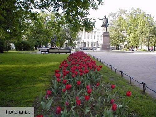 Санкт-Петербург