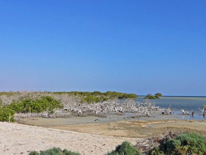 Красное Море регион