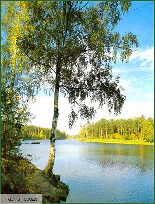 Ивановская область