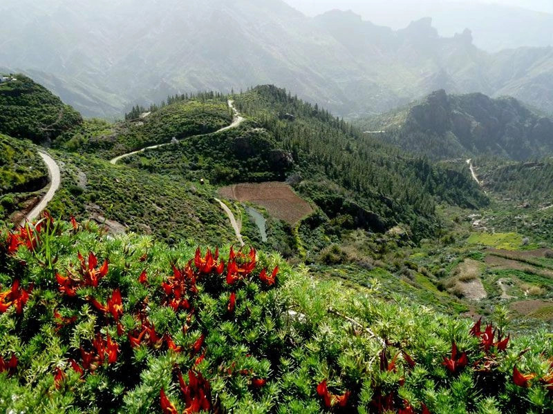 о.Гран-Канария