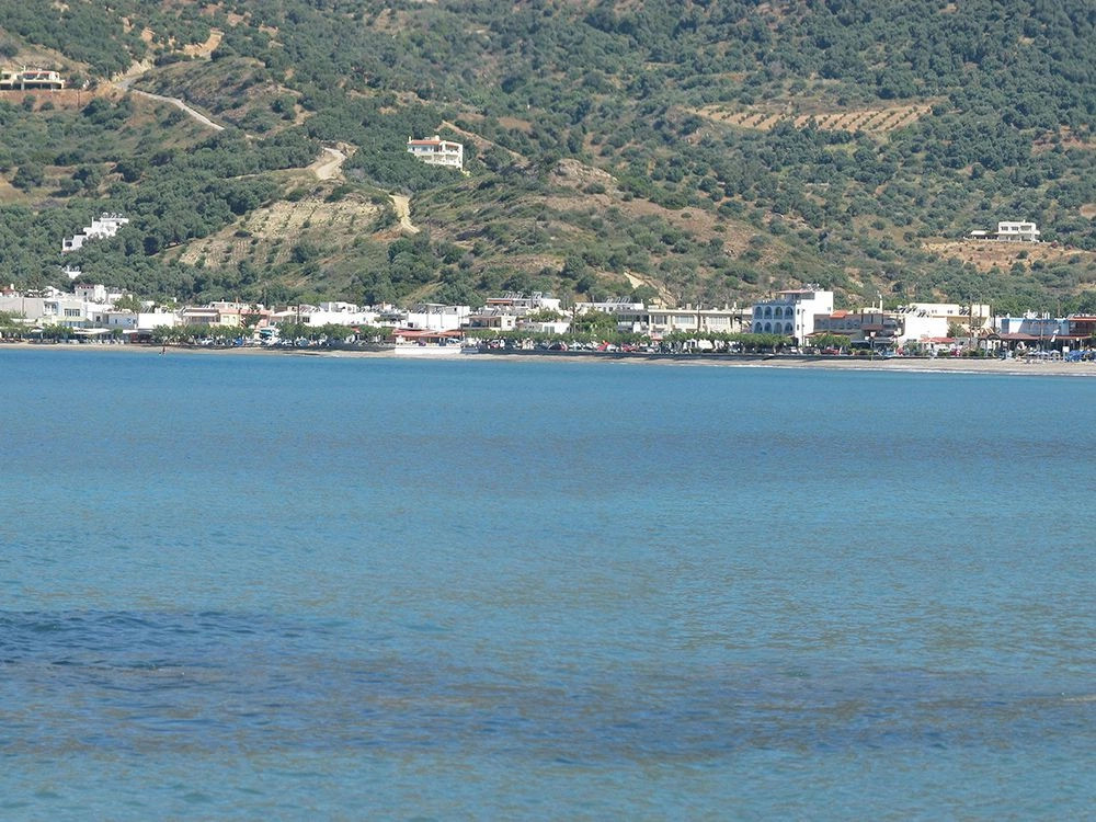 Плакиас