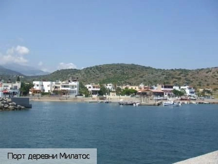 Ласити