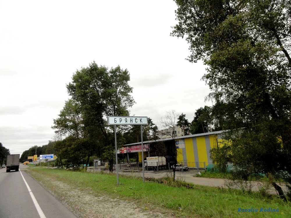 Брянск городской округ