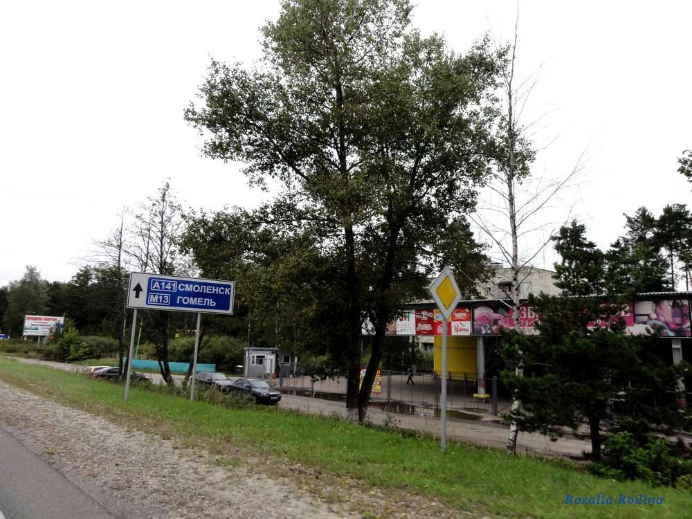 Брянск городской округ