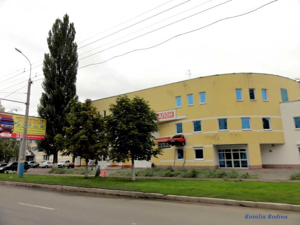 Брянск городской округ