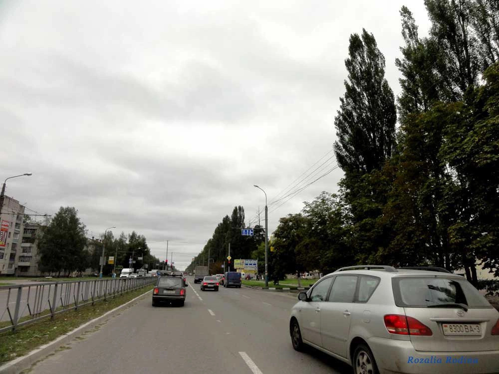 Брянск городской округ