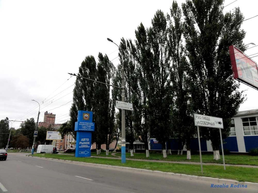 Брянск городской округ