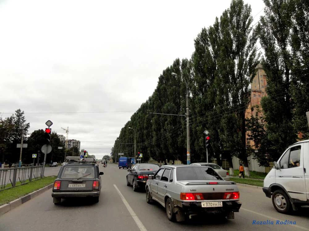 Брянск городской округ