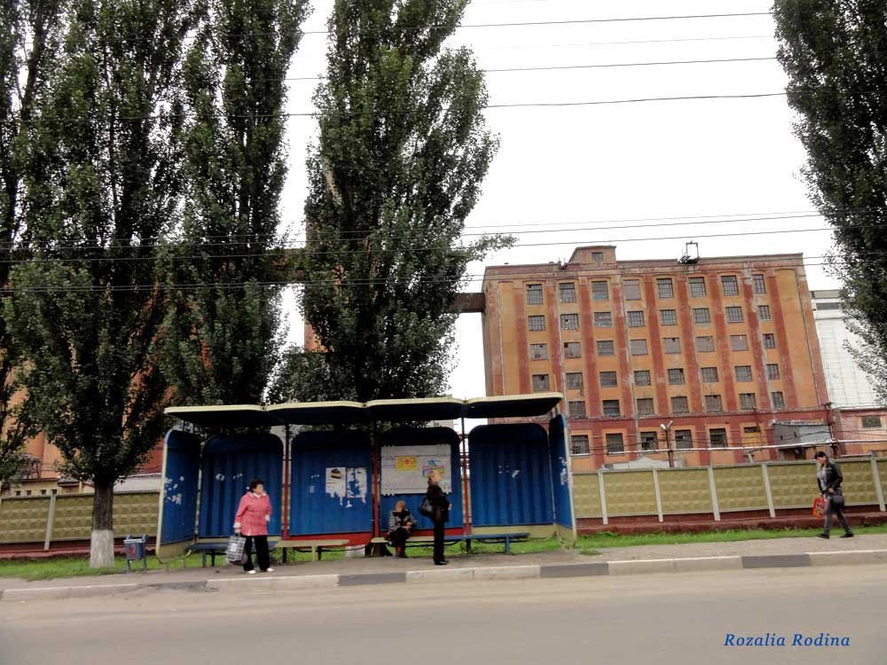 Брянск городской округ