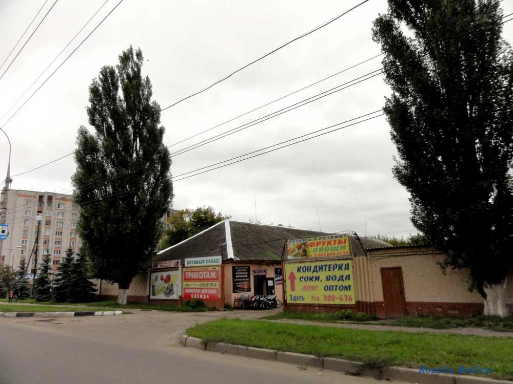 Брянск городской округ