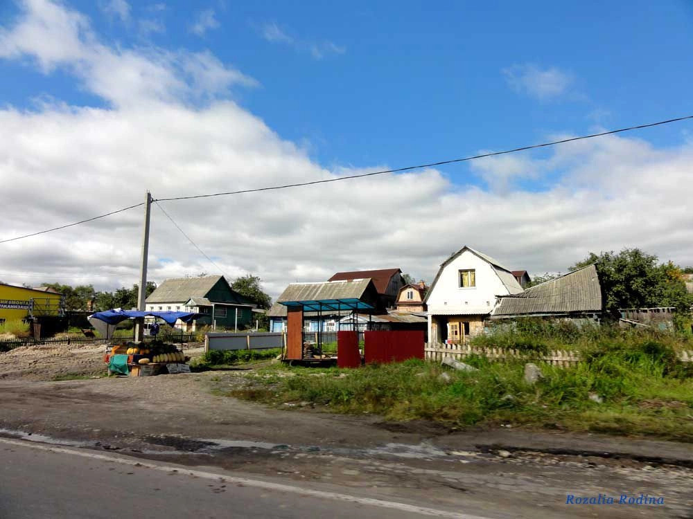 Брянск городской округ