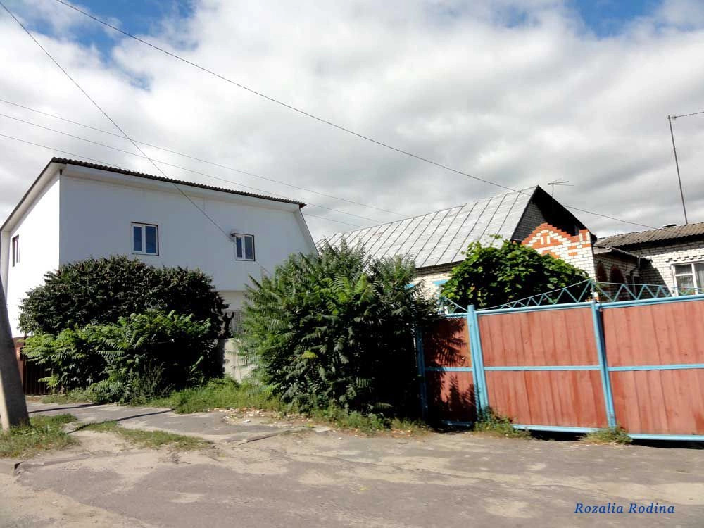 Брянск городской округ