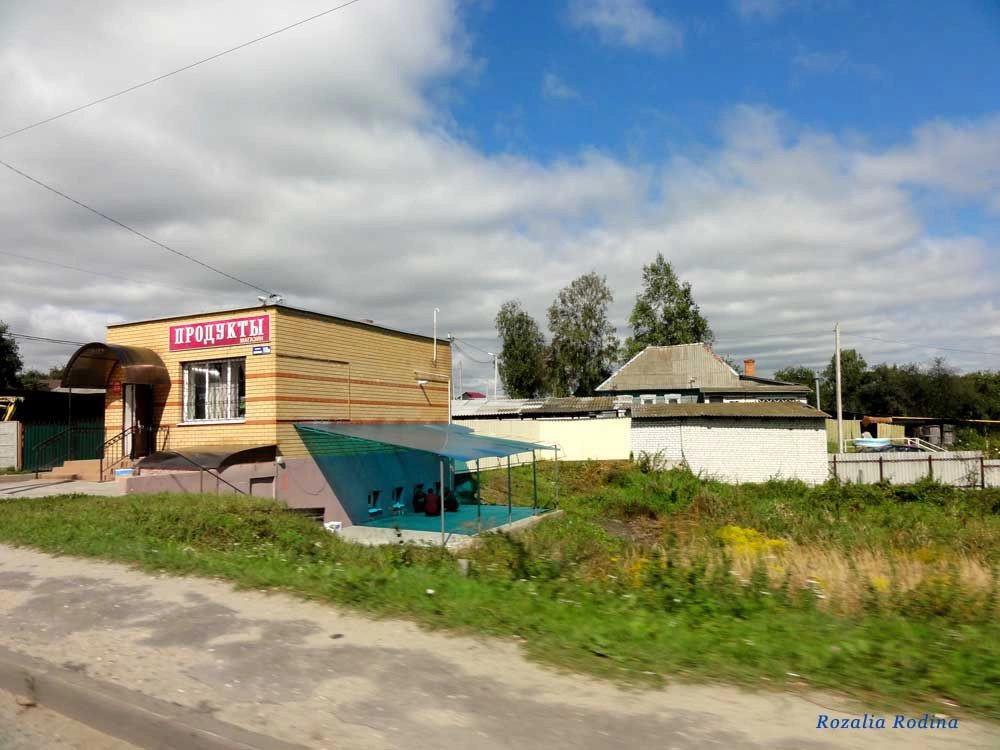 Брянск городской округ
