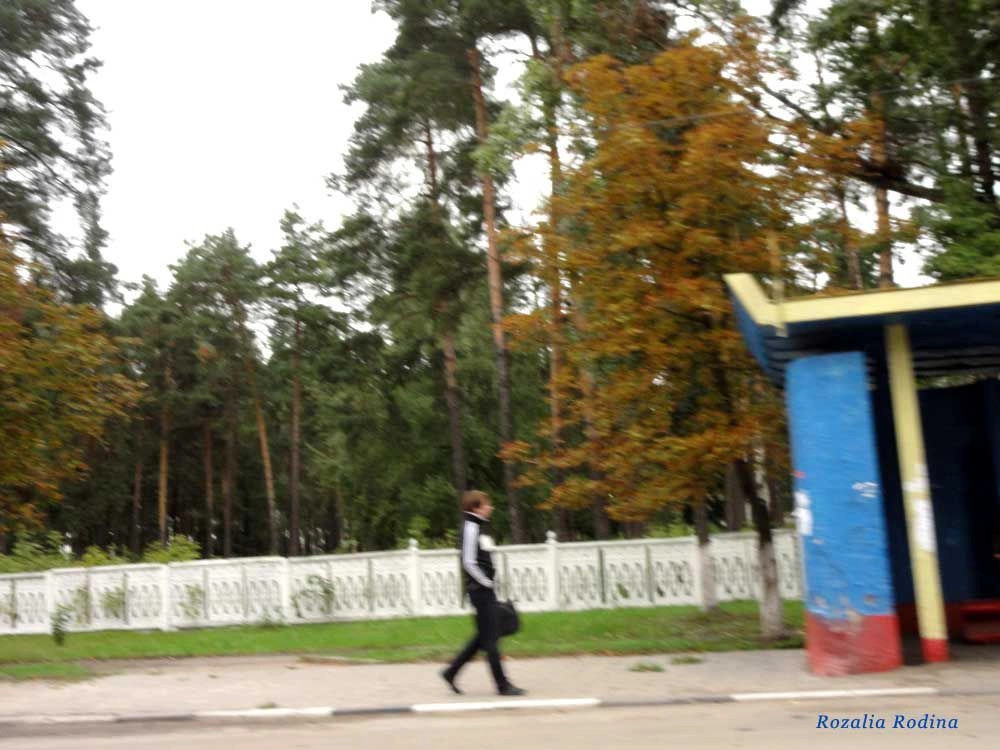 Фокино город