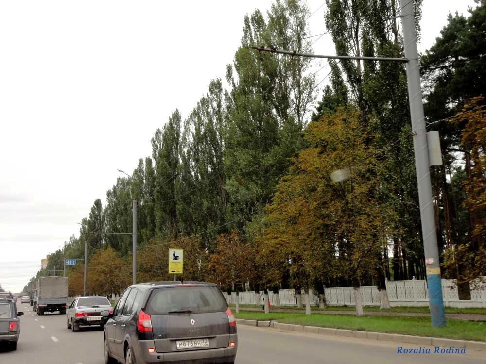 Фокино город