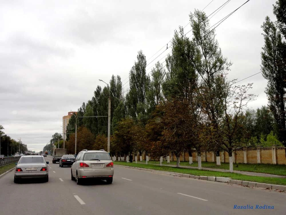 Фокино город