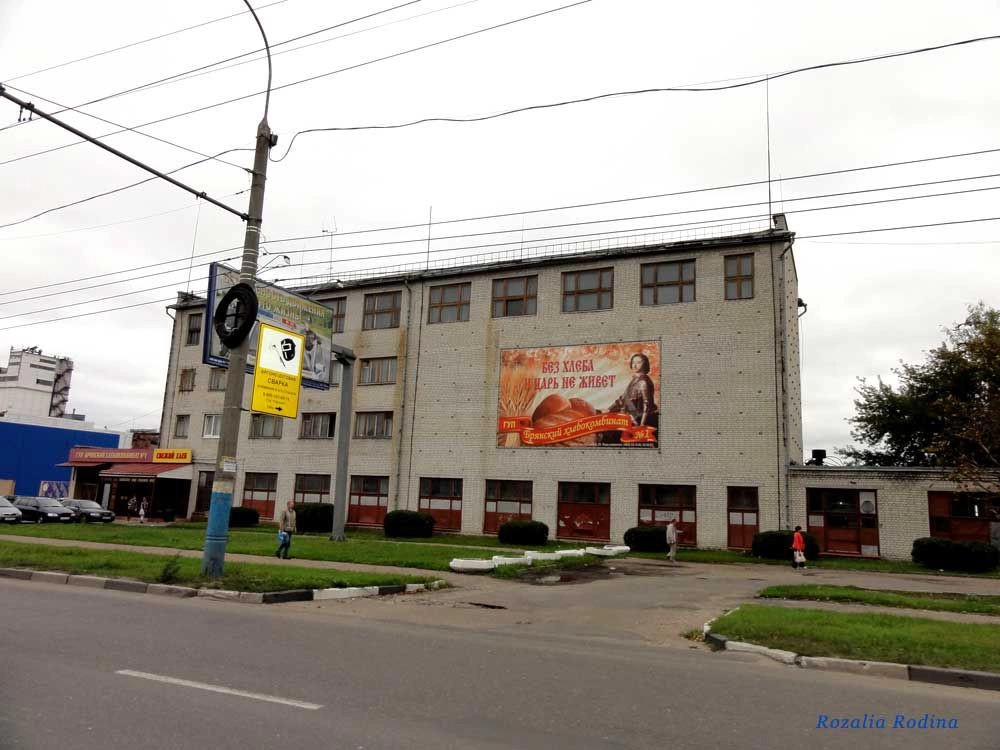 Фокино город