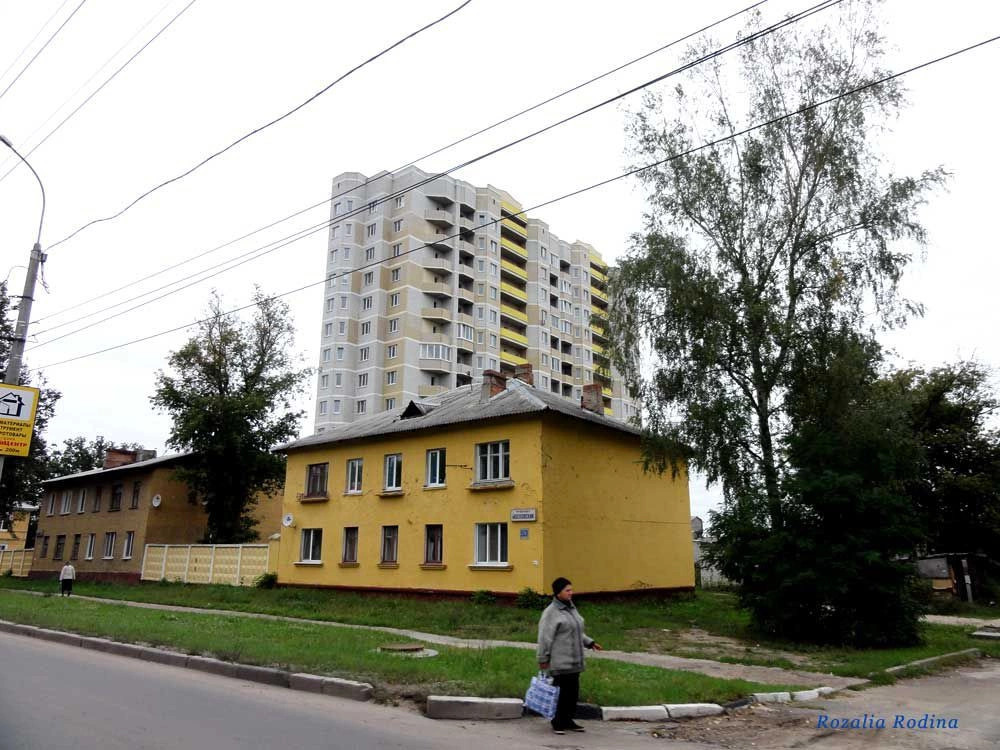 Фокино город