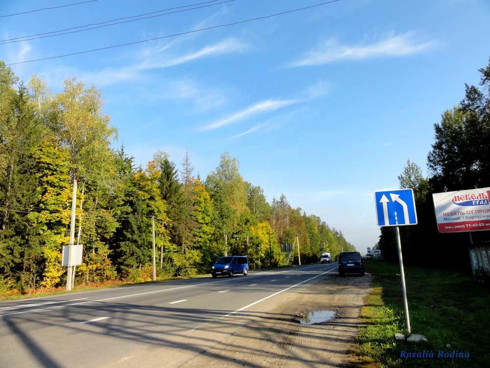 Брянский район